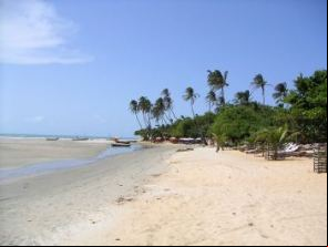 información clima en Jericoacoara