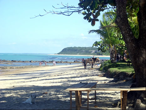 Praia do espelho