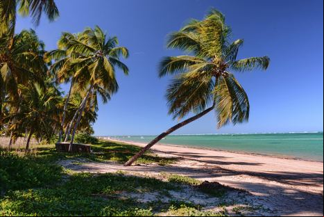 Praia do Patacho - Alagoas